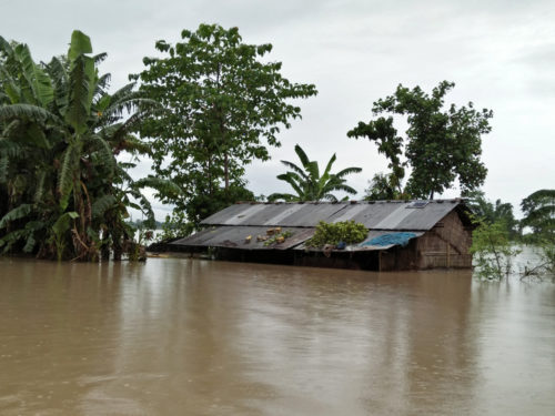 Christian Aid responds to 400,000 homeless as monsoon rains worsen in Assam State, India
 